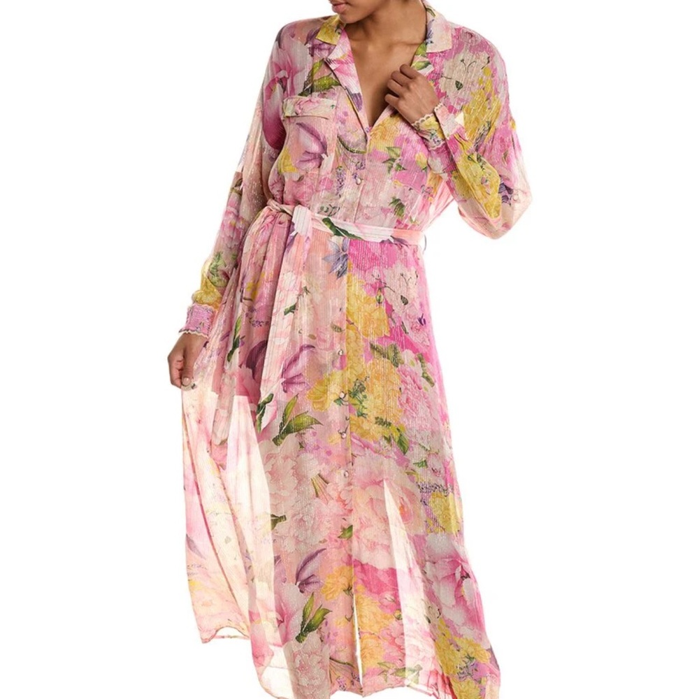 Rococo Sand NWT Sheer Maxi Dress